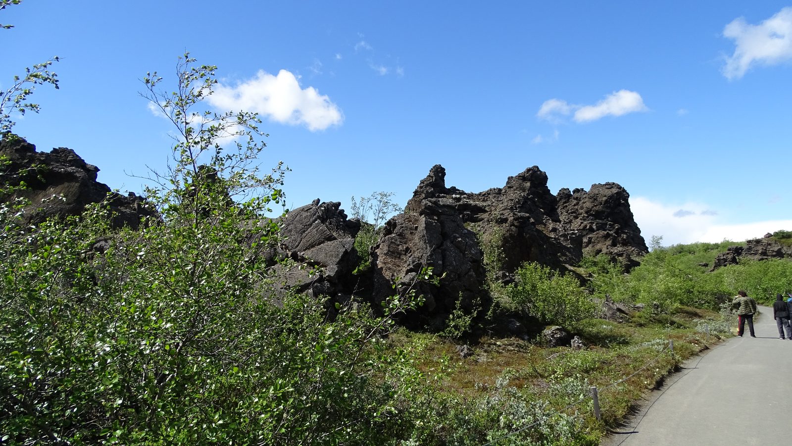 DSC01830.JPG